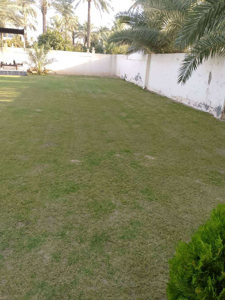 السلام عليكم يوجد مكينه كص حدايق عزيز بلد مدخل سته متواجد بكل المناطق بلد او مزارع  جويزرات رواشد اتصل تدلل  اجيك اللباب وترتيب وزرع كلشي موجود اتصل ***********
