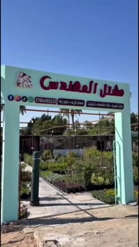 نباتات ضلية • نباتات خارجية • كربلاء حي الزهراء