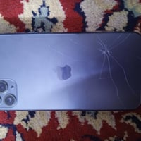 ١١ برو ماكس • ٢٥٦ • ظهر مفطور