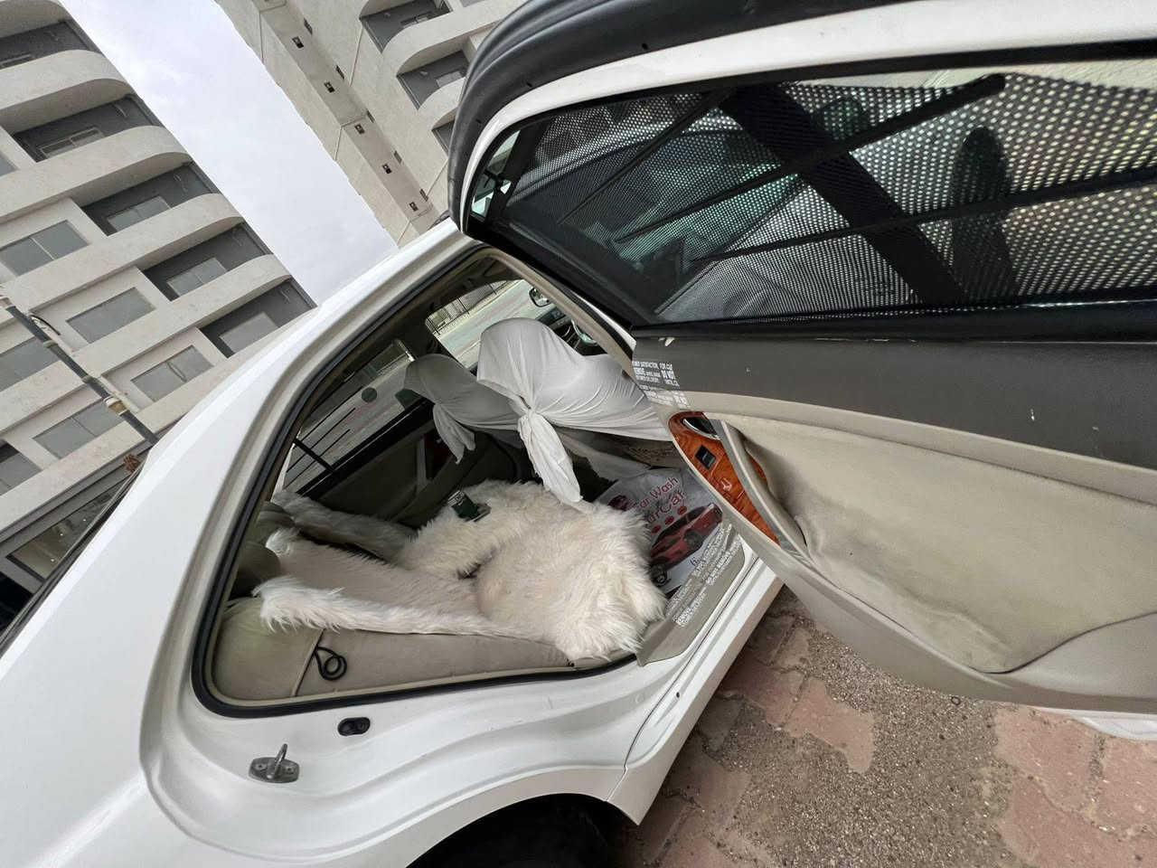 كامري 2009GLXخليجي
سعر١٢٤مجال بسيط
مواصفات فول فول ١/١ فتحه سلايت و بةردة خلفي حساسات بيلادي نشره داخل تبريد قطعتين لايتان مضومه كامل زينون ٤تايرات ويل مال شركة وكاله مشدود بيها سياره على وضع شركة الف دينار مصرف مابي كير محرك بشرط 
حداديه درجة ١٠٠/١٠٠
بيها شبر كارت بلصندوق مكان رقم باقي كفاله عامه من شخط و بارد مابي
سنويه رقم جديد هزاو براد جديد رقم دولي باسمي شرط تحويل و وكاله
مكان سياره كركوك 
سعر 124بي مجال بسيط
*********** كركوك, العراق
