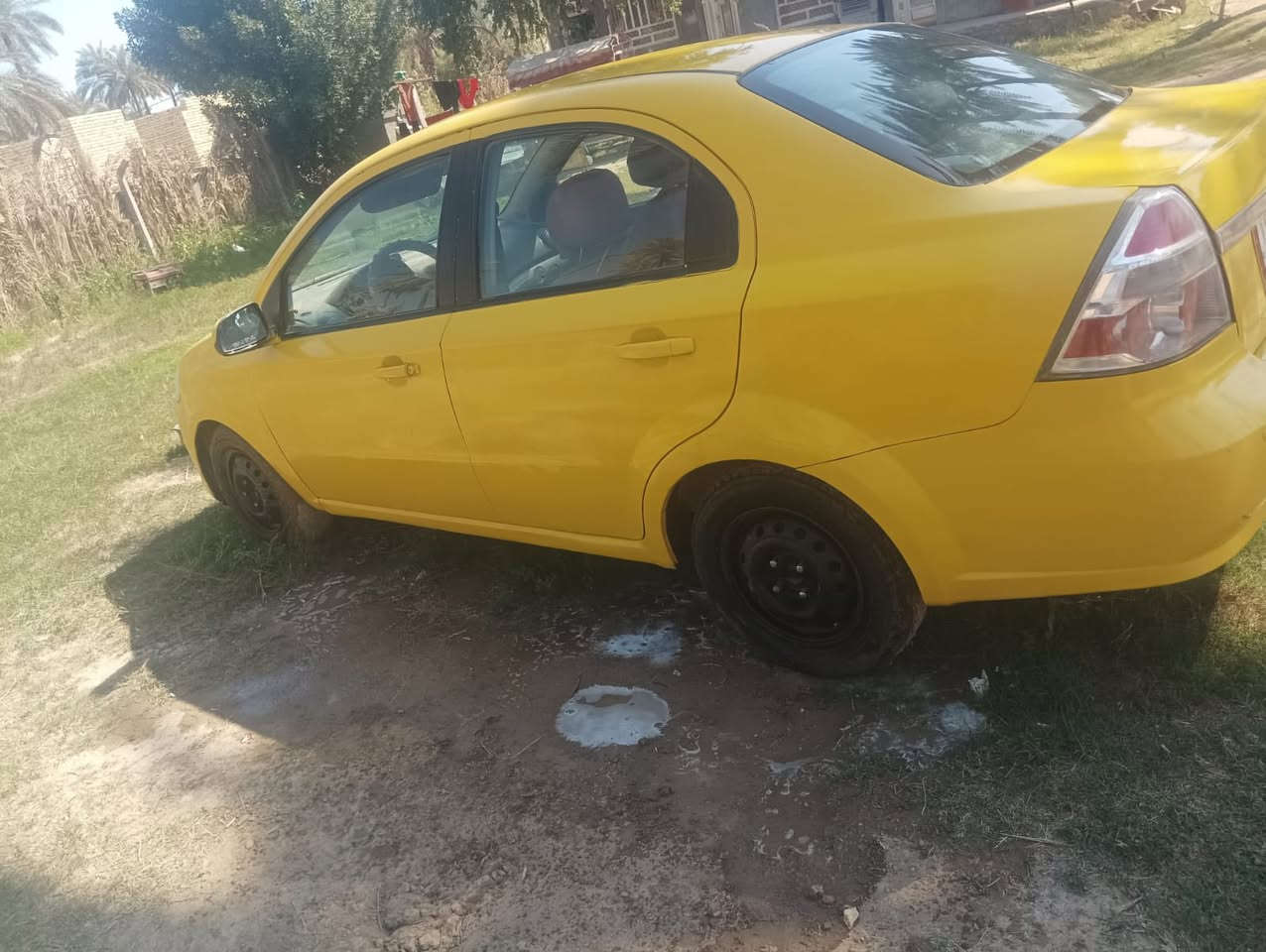 2008
حلوه وجاهزه يرادلها مكينه وضفيره باقي كفاله. بسمي كله مصفر
***********
