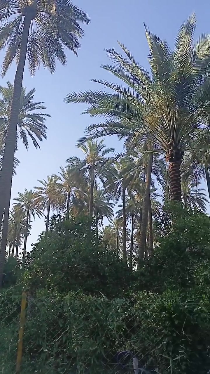 السلام عليكم متابعين صفحتنا الأعزاء 
#للبيع قطعة أرض ٥٠٠ متر طابو صرف 
العنوان/ الصويرة سدة بيت حسوني 
للإستفسار الاتصال على الرقم ***********
موجود واتساب
