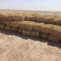 كبسات تبن لبيع عد 220كبسه اسعر الف ونص 1500المكان شارع الإستراتيجي مقا...