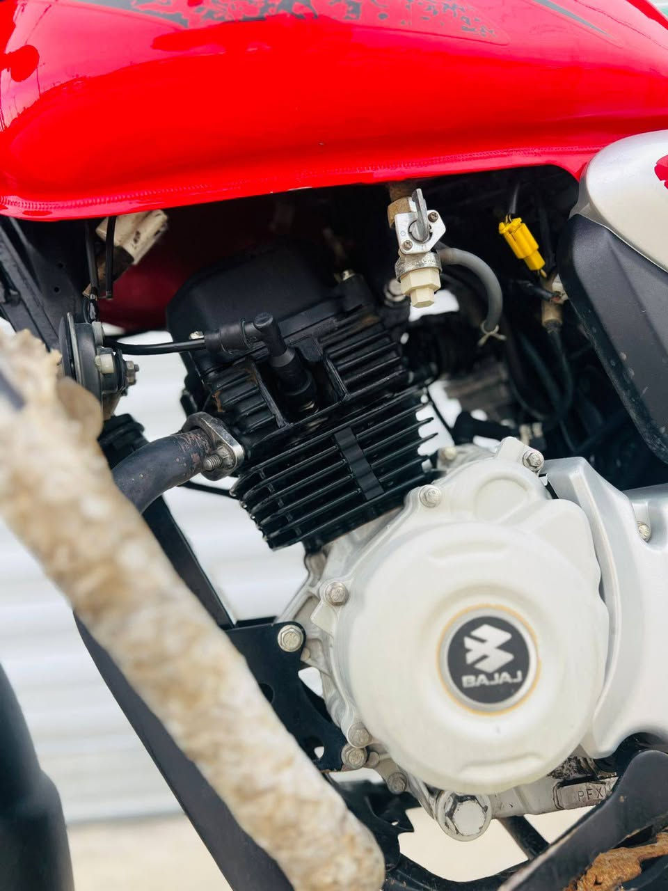 سلام عليكم
بوكسر 2023 كفاله عامه 
مرقم بغداد نكليزي شراي 
***********
مكاني ديالئ بعقوبة
