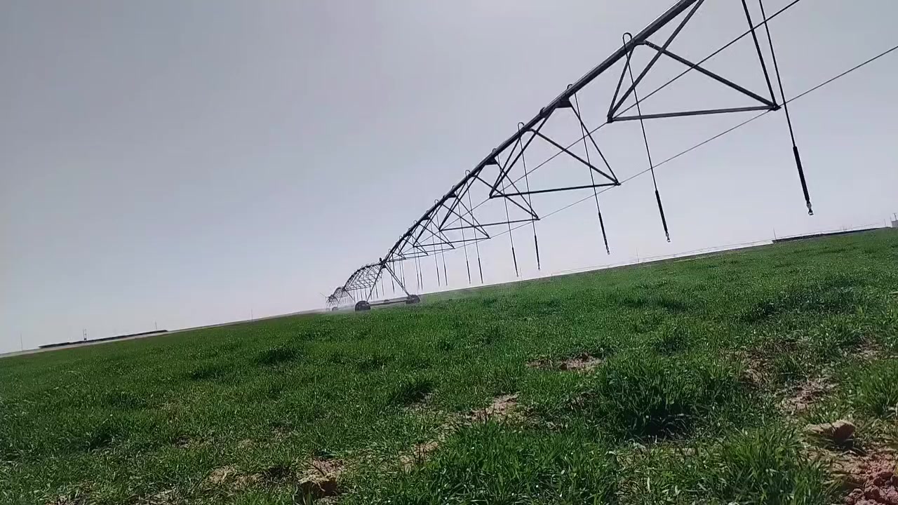 مزرعة ذكية للبيع
📍المزرعه تعمل بالهاتف ومراقبة بمنظومة كامرات 
     مساحة الارض ٣٠٠ دونم بيها مرشات عدد ٢ وبيها  
    عقد وبيها اجازات ابار عدد ٢ كل مرشة بيها بيرين
    ((ماء حلو))
📍انظمة تسميد لكل مرشة يعني التسميد الذاتي عن
     طريق المرشة نفسها بالحقن الذاتي
ابيعها هي والزرع مالتها بيها مولد وطاقة شمسية عدد ١٨٥ لوح تشغل المرشات اثنينهن بنفس الوقت وبيها كهرباء وطني

السعر للثلاثمائة دونم مع  الطاقه والمرشات والزرع على الرقم *********** @ ***********

ملاحظة 
اكو مجاور الي ٤٠٠ اخرى لاخواني هم يريد يبيعون
بيها مرشات عدد ٣ وطاقة ومولدات ووطنية وبيها عقد نفس الشي يعني الي يريد الموقع الكلي هم ابيعه
المكان الرمادي تبعد عن التبليط ٥ كيلو
