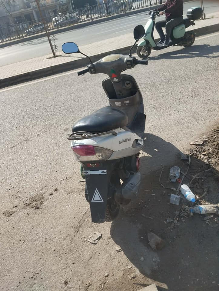 ماكس منغولي لبيع السعر 650 وبيه مجال التوصل عل هاذ الرقم ***********
