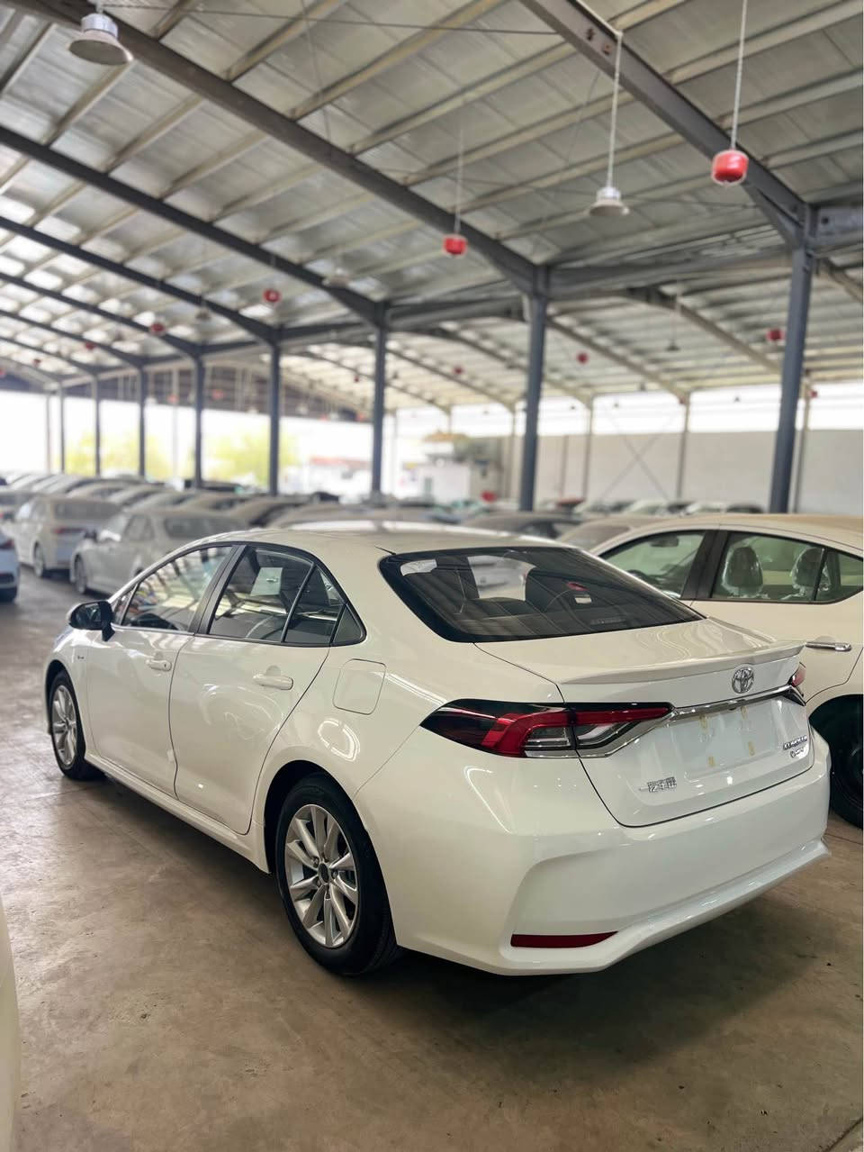 سەرەتا بە ناوی خوایی گەورە 

TOYOTA COROLLA 2025 HEV جلد🔥🔥
مانگی ١١ سفر کیلۆ متر ٣ مانگ کاتیان لەگەلە بۆ رەقەمەم کردن جیاوازیان ئەوەیە ئەمانیی ئیمە جلدو شاموان 
فول فول مواسفاتە   خوار بازاڕ 
شووین سلیمانی 
*********** السليمانية, العراق
