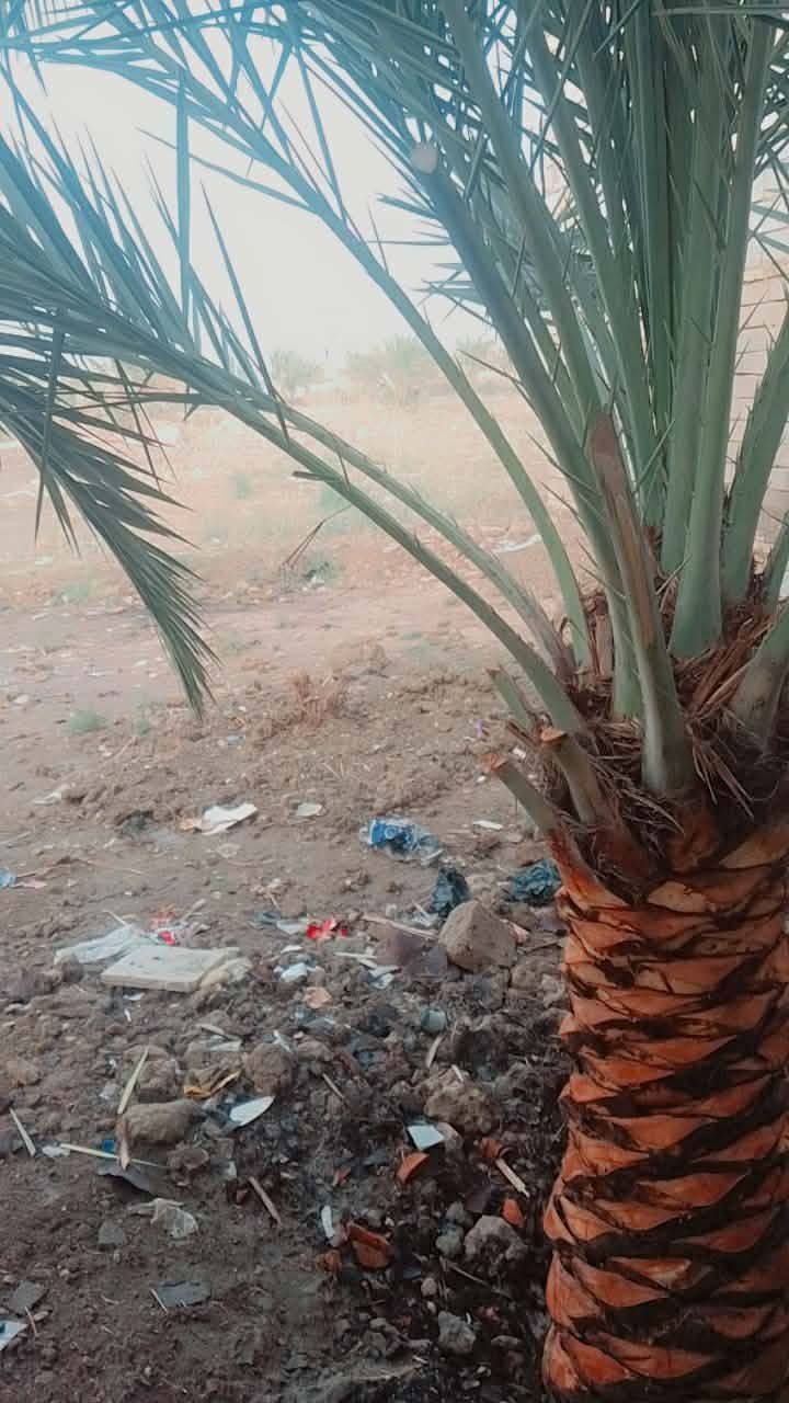 سلام عليكم

▪️دار زراعي للبيع 

▪️مكان سوق الشيوخ حي العسكري شارع الامام علي 

▪️المساحة 200 م 

▪️لبنيان 100 و100 ساحة 

▪️يتكون من غرفة ومطبخ وصالة وصحيات ومحل 

▪️السعر 22 وبيه مجال 

▪️الاستفسار واتساب او الاتصال على رقم تالي 

▪️***********6
▪️سيد حسن الموسوي 

▪️مكتب الاحرار شارع البصرة يم جزرة مبايلات القديمة
