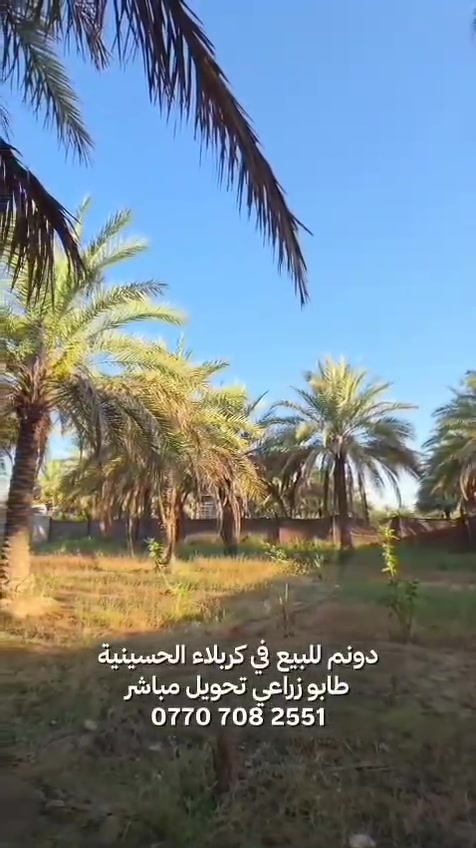 سلام عليكم دونم طابو زراعي سند 25 تحويل مباشر بأسم المشتري التفاصيل داخل الفيديو كربلاء الحسينية مفرك العطيشي (اني صاحب الأرض وليس دلال )

السعر 170 مليون قابل للتفاوض 
‎***********
