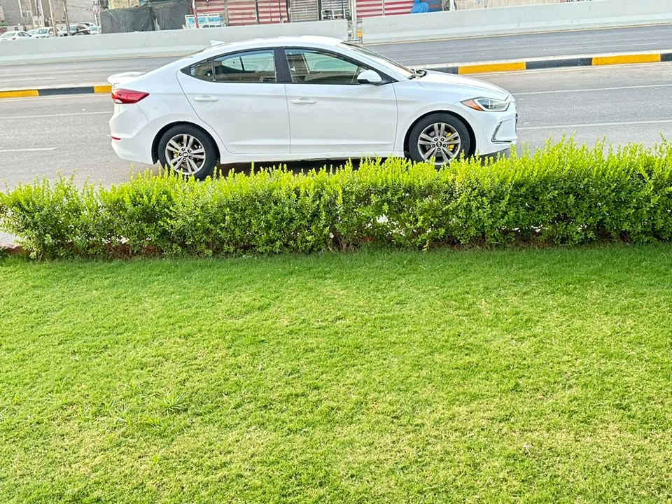((السلام عليكم  (( السعر 116 )) 
النترا موديل 2018 وارد امريكي 🇺🇸 حادثهة شبر من الجاملغ الخلفي بدون دواخل نهائياً مكفولة حوض + لغود + شواصي كفالة عامة + گير ومحرك مكفولات كفالة الشركة بدون فتح برغي السيارة ليبل واحد  

رقم اربيل وتحويل جديد ب اسمي كاملة من كلشي إصدار سنوية جديدة 2031 + هزه جديدة 

(( ملاحظة )) شبر بالبنيد + شبر بالقبغ جنطة تكحيل اثر تقشير بدون لا حادث ولا قطرة معجون وهاذا الموديل معروف بالتقشير مكحلهن ب مسدس صبغ كهربائي مكلف 300$ يعني شغل مرتب مو تكحيل مرعبل على گدهن وبس وعلماً الصدفي معروف بالتقشير السيارة مكفولة من دگة الجاكوج وحته براغي الشركة ما مفتوحة يعني هيه والزيرو واحد سيارة عدلة ونصبتهة نصبة زيرو 

ماشية 72 الف يعني سيارة جديدة وما متعوبة  

👇⬇️

المواصفات سياره 

1-تحكم استيرن 4 جهات

2-كامره  

3-كشنات ايرباك

4-رادارات جانبية

5-ويل كب اصلي + 4 دسك

6-لد امامي خلفي

7-لايت عدسة اصلي

8-محرك 2000 دوش + كير ( ATM ) مكفولات كفالة الشركة

9- 3 وضعيات قيادة نظام قيادة SPORTS + Normal +Eco

10-تحكم مري كهرباء + رادارات تحذير جانبية

 11-بلوجكترات لد إشارة + حساسات اطارات 

11- شاشة اعطال ذكية + CarPlay

السيارة حلوه وجديدة حيل وكاملة وماناقصهة شي تبريد تخم تاير ادامة كاملة من مجاول بلكات نوزلات سيرفز كامل فيت بم وكالة اصلي حته الدهن الي بيهة وكالة (( AMSOL )) ترايهة زيرو ما تحتاج صرف دينار نافضهة للأخير 

 

عنوان بغداد منطقة البلديات  للاستفسار 

الاتصال ع رقم (( *********** ))

اتصال فقط غير متواجد ع الفيس
