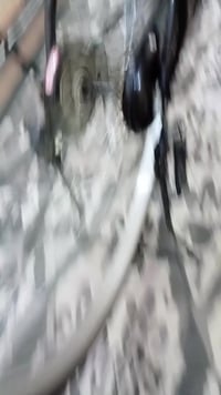 بايسكل • موديل ٢١ • الديوانية