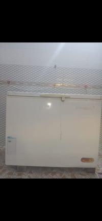 مجمدة • للبيع