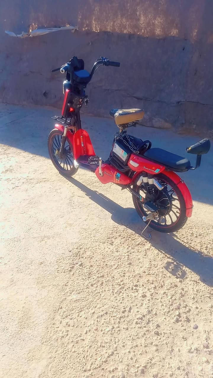 السلام عليكم 
بايسكل شحن للبيع 
موديل 2024
استخدام شي قليل 
بطاريات اربعه مبدلهن جديدات 
ثلاثه نمر اوتو
تايرات قبل عشره ايام مبدلهن جديدات
سويج تشغيل +سويج قفل البطاريه +سويج قفل وتامين التاير الخلفي 
العنوان كربلاء الحسينيه 
الاستفسار  ***********
@إشارة
