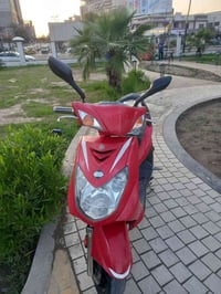 للبيع سكنس فحل ياباني مكفوله كفاله عامه للاستفسارع الخاص اوالواتساب 07...