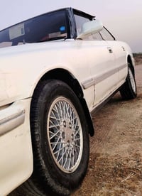 مارك شطح • رقم بصره