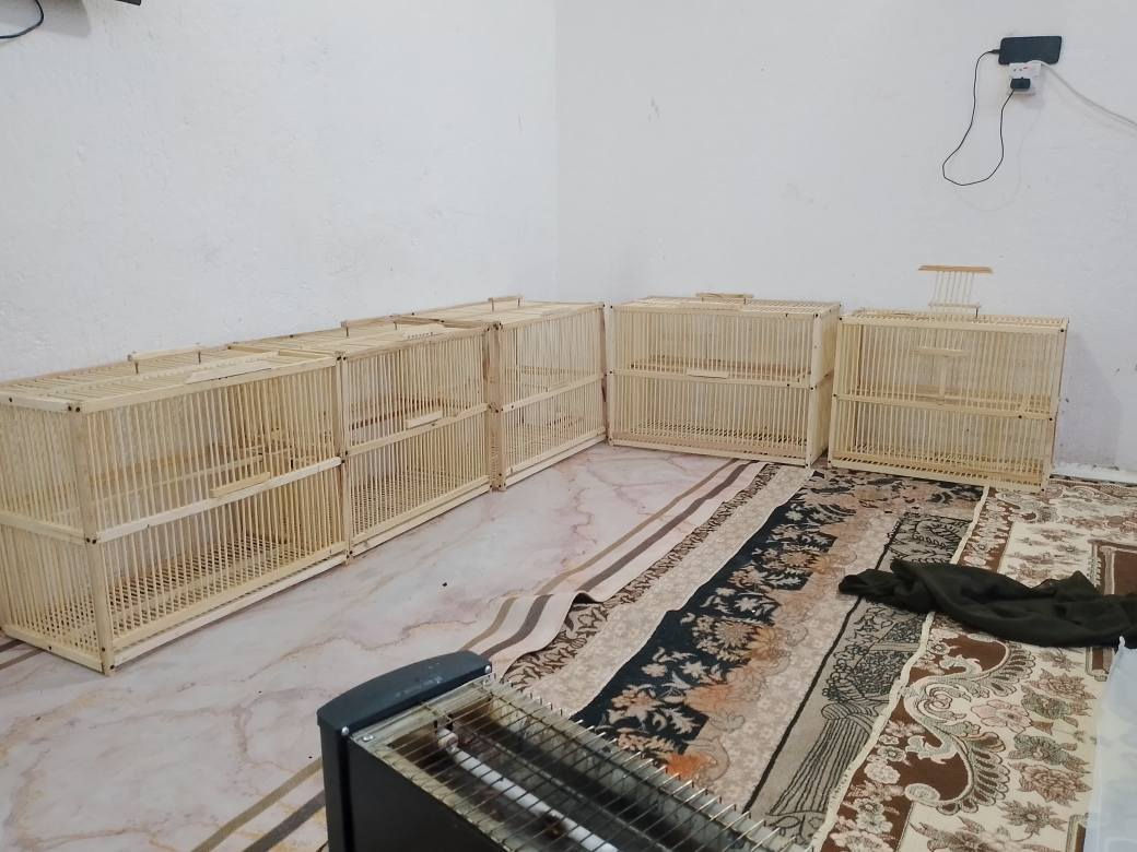 مستعدون تجهيز المحلات البيع جمله ومفرد 15 الف القياسات 60 واجهيه نزال 30 ارتفاع 50 ويوجد قفاص واجهيه 70 ونزال 35 ارتفاع 50 ويوجد قفاص صيادي كل هذه العروض القفص 15 الف العنوان البصره القبله حي المهندسين مسافه عن فلكه هاتف *********** يوجد وتساب البصرة, العراق
