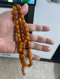 بولوني • ٣٦غ • حي الخضراء