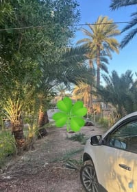 🔘جنس العقار/ زراعي 25  🌴نوع العقار/ أرض زراعية  📐المساحة/ 2,500م ( دون...