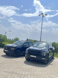 اف ١٥٠ • هايبرد • ٢٠٢٤