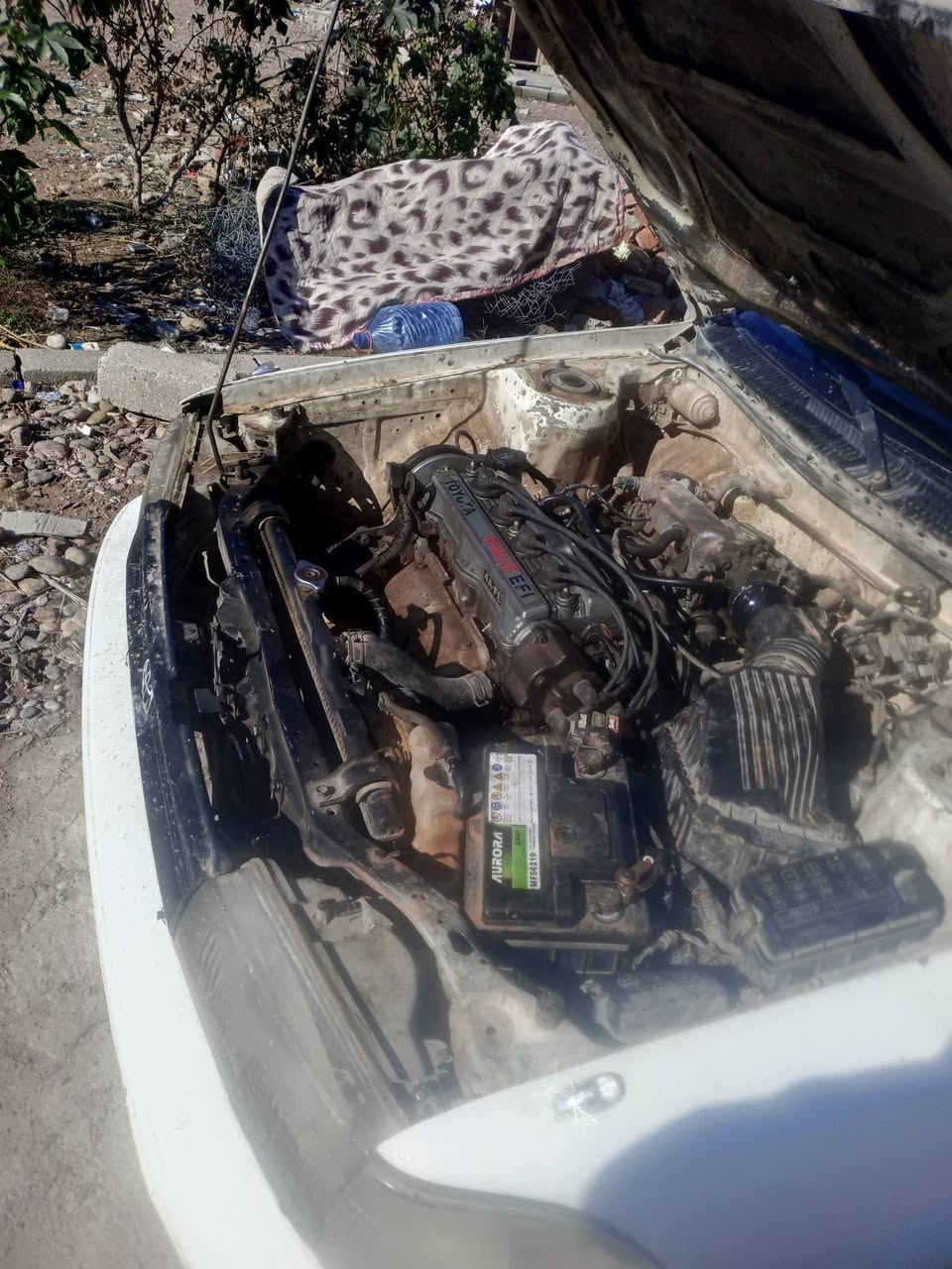 السعر 30شرط التحويل ***********مكاني تكريت
