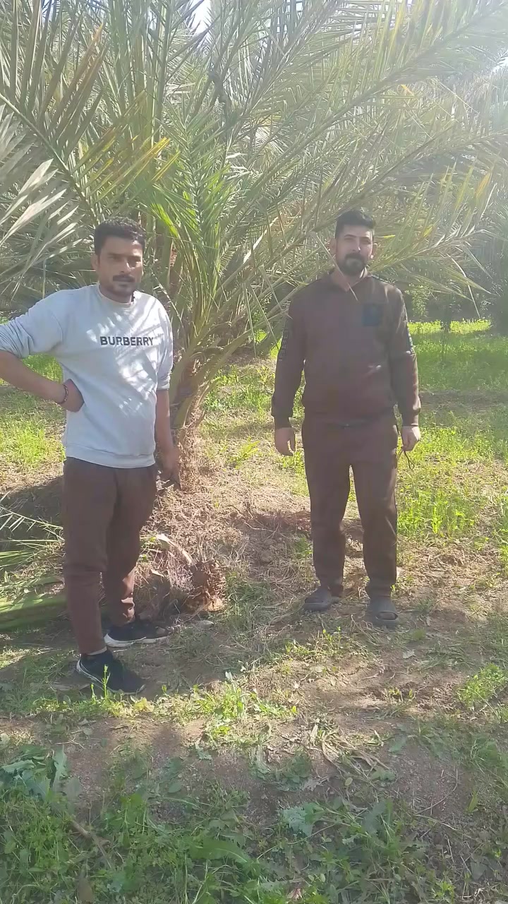 زارنه الاخ ابو سيراج من محافضه بابل أخذ من عدنا فسائل بروحي نسيجي احجام خير من الله الراغب في الشراء عنوان واسط قضاء الصويره *********** واتساب
