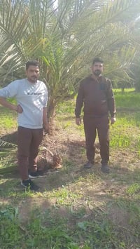 فسائل • للبيع • قضاء الصويره