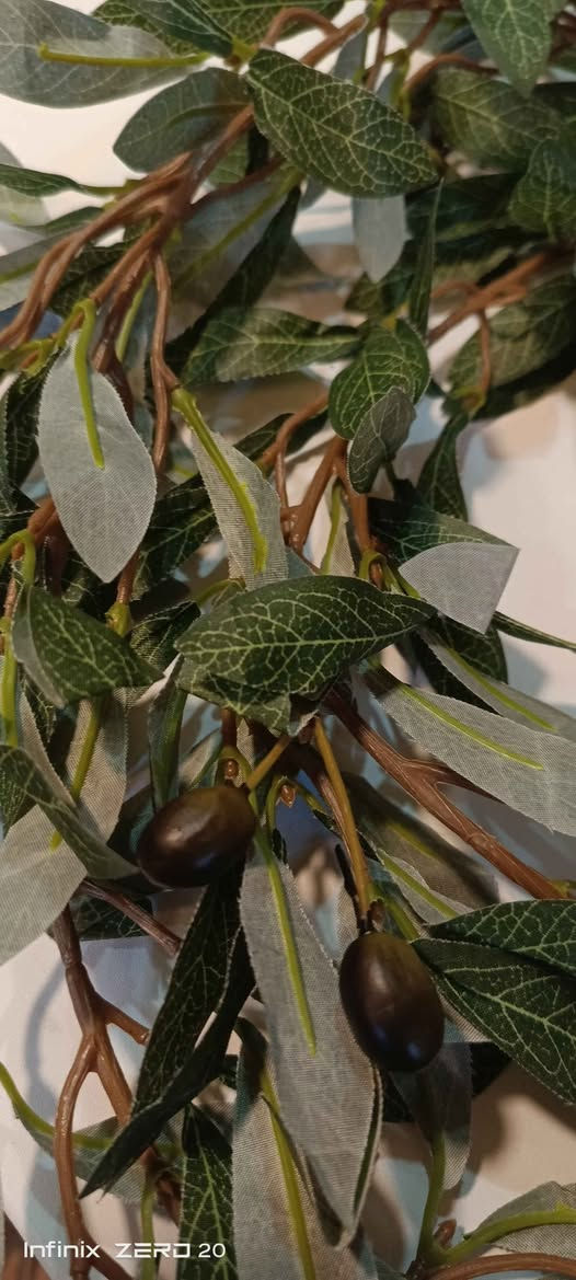 اغصان زيتون بغداد, العراق


**إذا كنت صاحب هذا الإعلان وتريد حذفه لأي سبب، رجاءا أرسل رسالة إلى الدعم الفني**