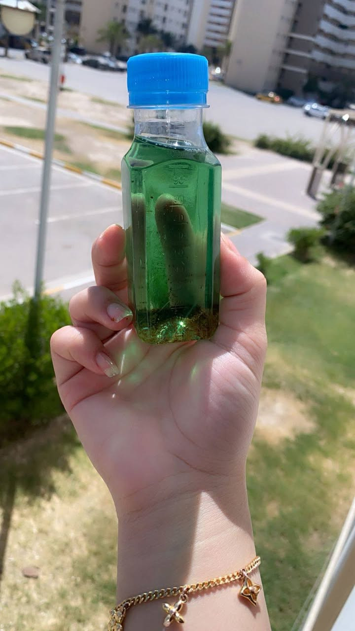 https://whatsapp.com/channel/0029VaBhwLQ8kyyUHd6VwY3I


**إذا كنت صاحب هذا الإعلان وتريد حذفه لأي سبب، رجاءا أرسل رسالة إلى الدعم الفني**