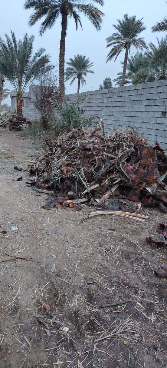 اي ريد كرب وسعف موجود.  بلاش  الي يريد يتصل ***********
