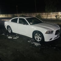 فول مواصفات • ٢٠١١ • رقم اربيل