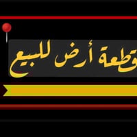 بكرلي • ٣٠٠م • تجاري