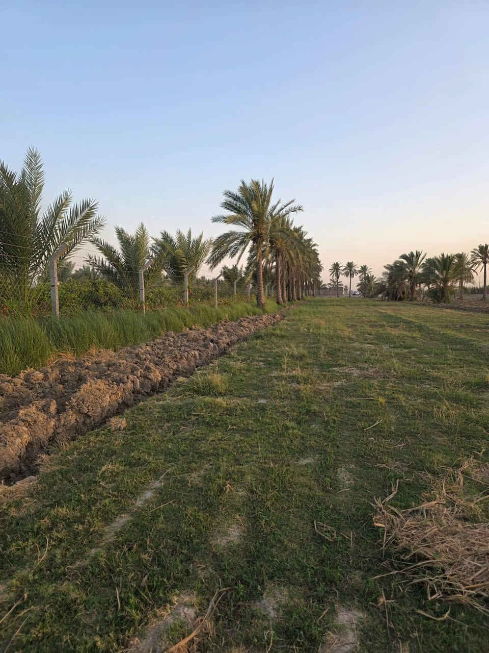 السعر للدونم الواحد 36 ))
مزرعه تتكون من 8 دوانم بالفلوجه منطقة الشهابي مقاطعه 13 خلف معمل السمنت يم مجمع الماسه الجديد قريب على جامع المصطفى ﷺ 
صايره على شارعين وبيهه مياه اساله وبيهه بير ارتوازي ومسيجه بالكامل BRC 
الارض كلش حلوة مثل ماموضح بالصور 
بيهه نخل وزرع. 
للاستفسار يرجى مراسله الرقم على الواتساب 
+9647886914614(غير متوفر بالخط فقط واتساب))


**إذا كنت صاحب هذا الإعلان وتريد حذفه لأي سبب، رجاءا أرسل رسالة إلى الدعم الفني**