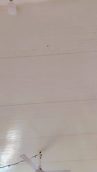 سندويج • ٧قطع • ١٠متر