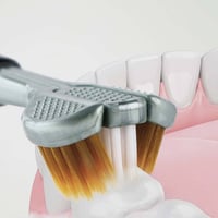 فرشاة طوبي • كارتون ٥٠ • ١٠٠ كارتون