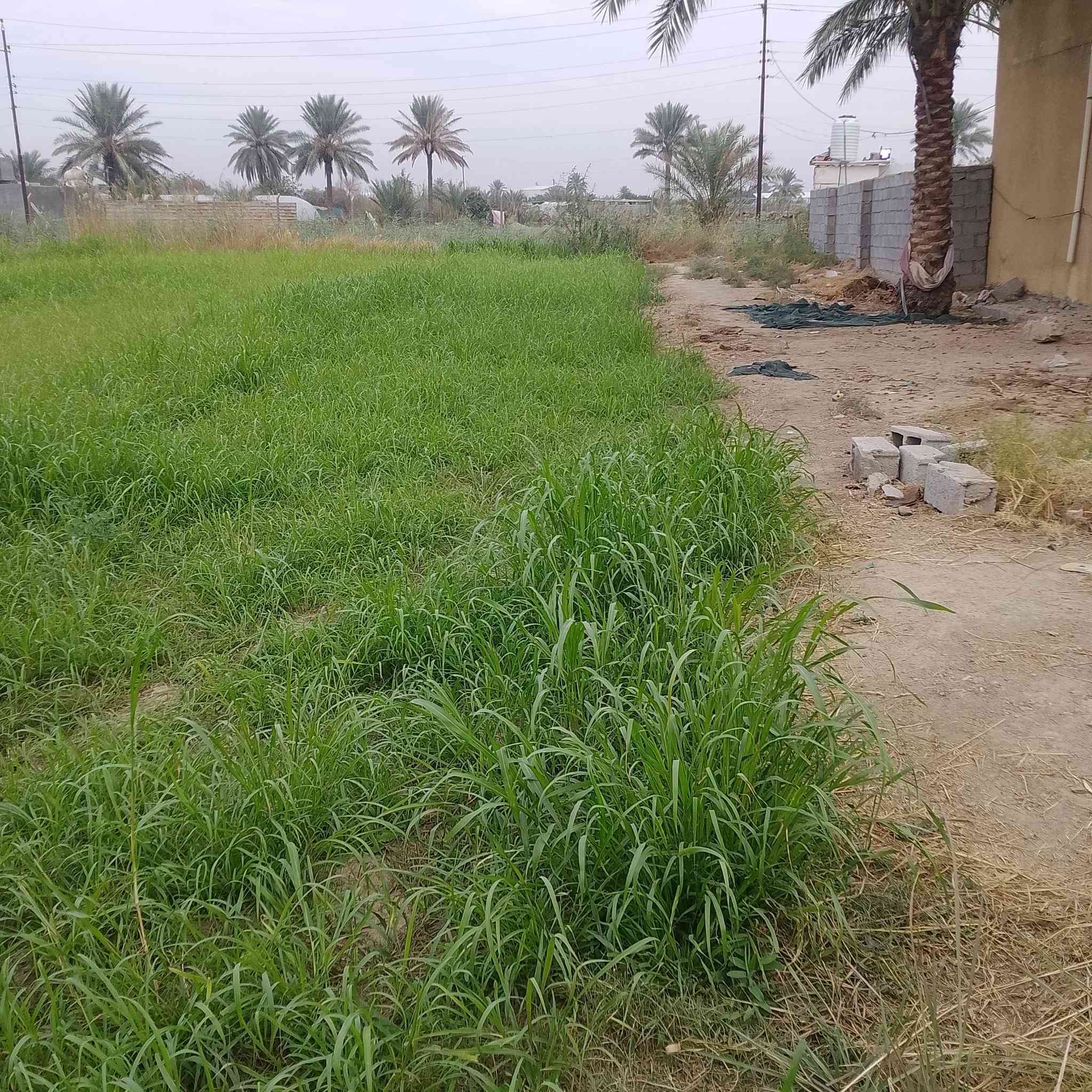 بسم الله الرحمن الرحيم  كاع للبيع
كاع  دونم ونص  زراعي  على شارعين يعني الكاع اله وجهيتين +مي +كهرباء  قرب جامعالتقوىالسعر 175مليون وبيه مجال  الشراي يتصل على  هاذ رقم ***********
