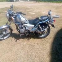 ماطور ديلم للبيع والمراوس بي دخانه  للستفسار الاتصال على الرقم 0785241...