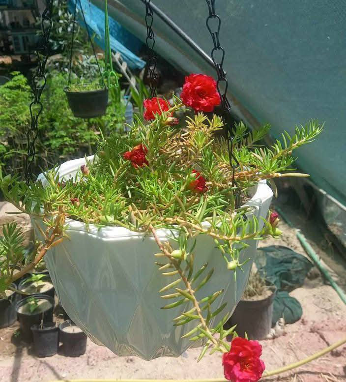 لكثرة الطلبات تم توفير الموديلات من جديد
🚕توصيل لكل محافظات العراق 🚕 
☎️***********☎️
