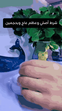 وفرنالج قالب كبه عظم عاج لا تعبرين الإعلان هيج فرصة متتعوض السعر والجو...