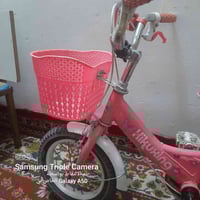 باسكل بناتي البيع السعر 35 الف  07703473974