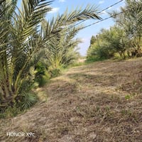 تلث دوانم لبيع طابو زراعي سند خمسه وعشرين لجبه ١٥٦ ونزال ٤٨ مكانهن ناح...