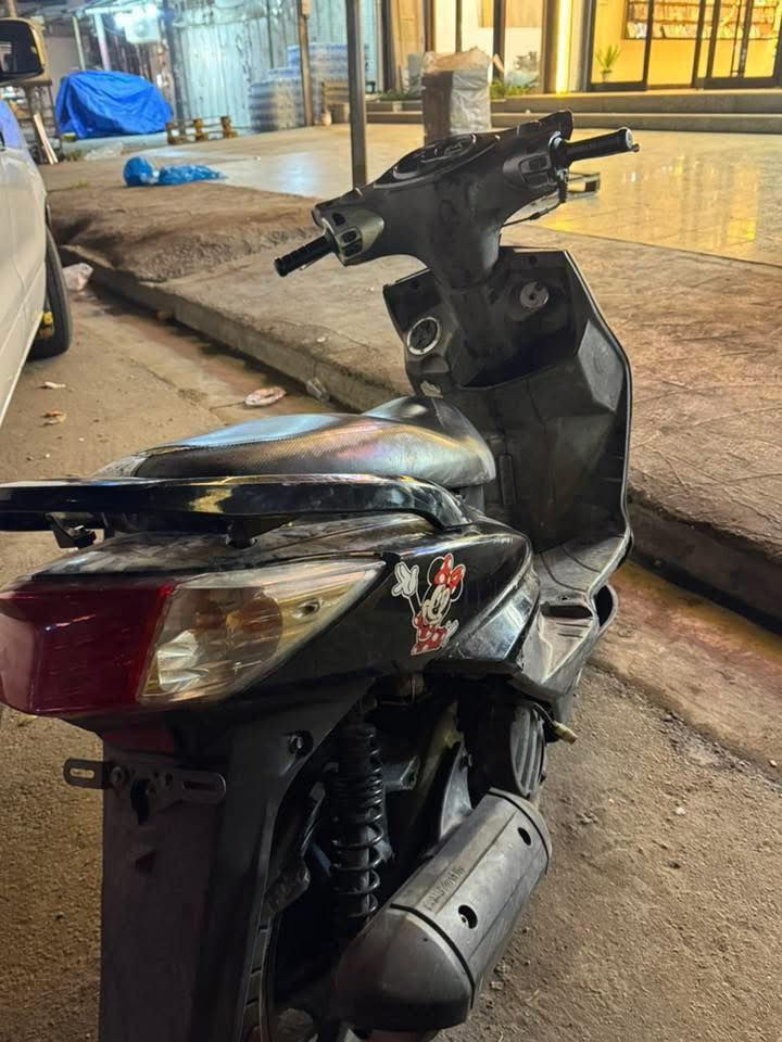 سكنس فحل للبيع سلف هندر كهربائيات كلهة شغاله  مكينه خرسه  سعر ٤٠٠ مكاني كاظمية ***********
