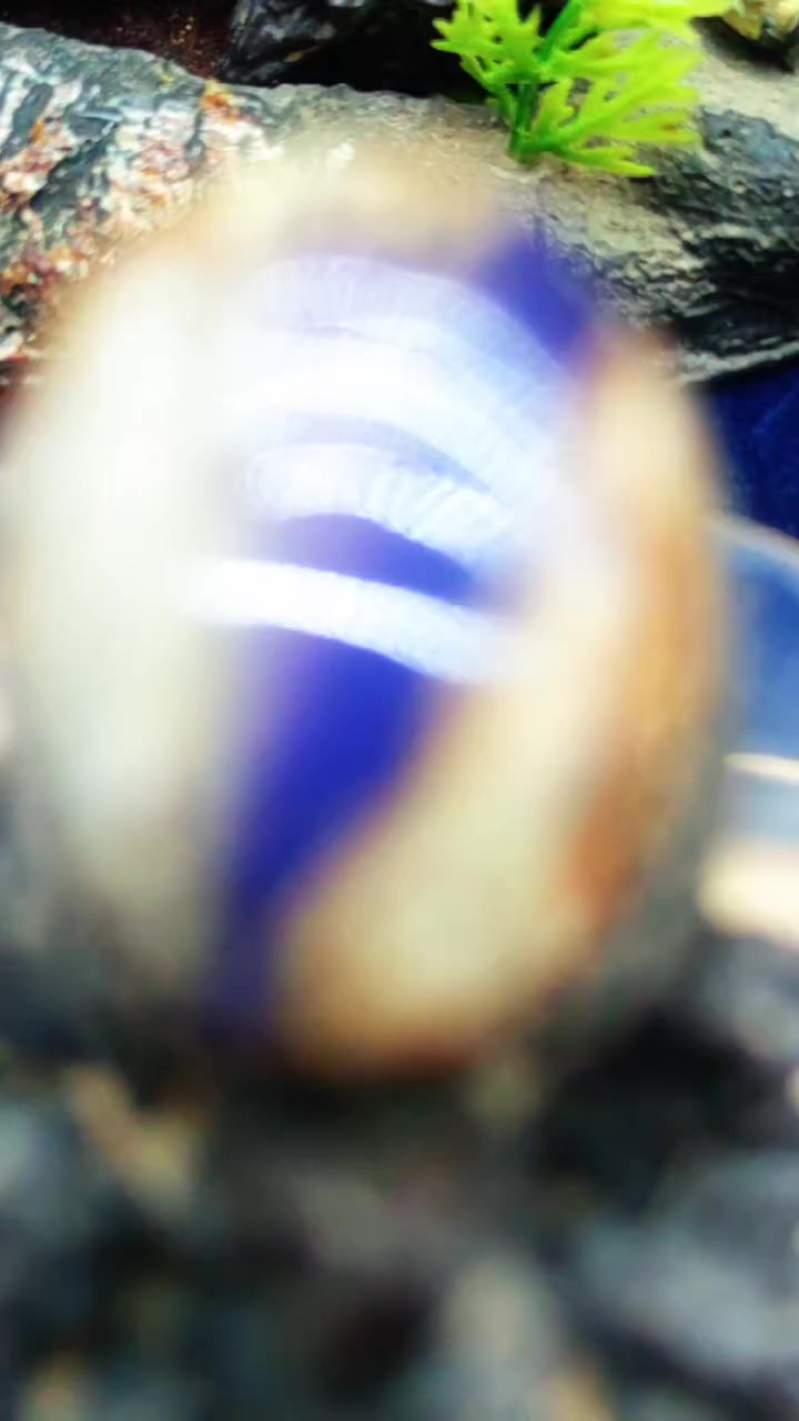 عرض خاتم فضه ايطالي بحجر عقيق يمني خريطي بنفسجي اللهم بارك مقاس 20 لتواصل والحجز 01016147535


**إذا كنت صاحب هذا الإعلان وتريد حذفه لأي سبب، رجاءا أرسل رسالة إلى الدعم الفني**