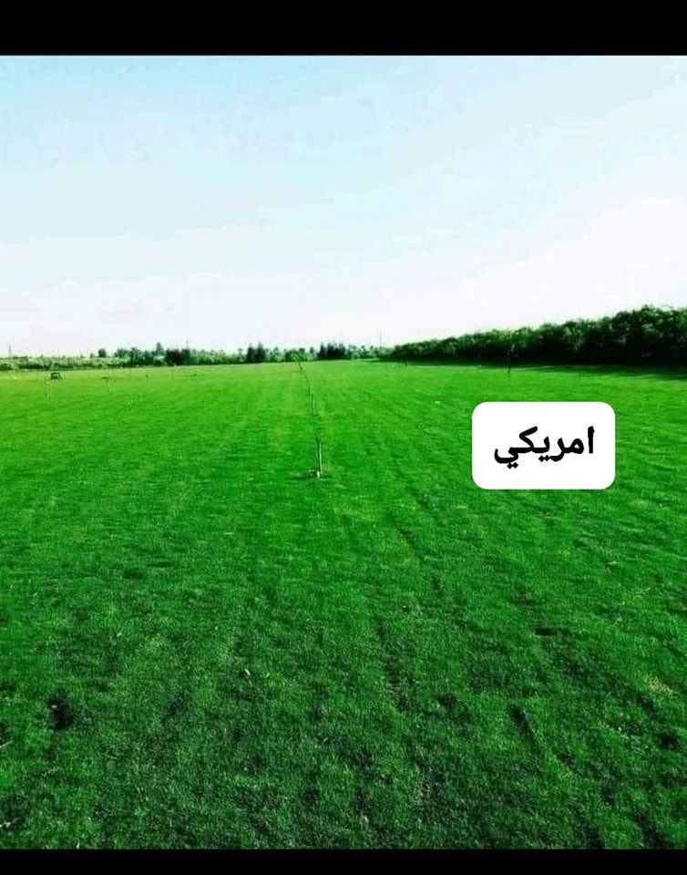 مع بداية الموسم الجديد ٢٠٢٦ يسرنا ان نوفر لكم الثيل الطبيعي عالي جوده يتحمل كافه ظروف البيئية 
#الفرنسي دائم الخضره 
#الايطالي دائم الخضره 
#الهندي خضار موسمي
#الانكليزي خضار موسمي................
 مع خدمة التوصيل لكافة محافظات العراق لمعرفة المزيد راسل الصفحه او اتصل على 
***********
***********
او الواتس اب 
ثيل ديالى الطبيعي
