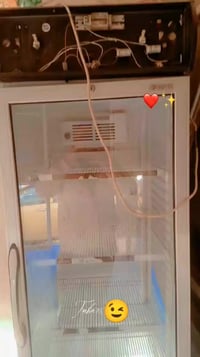 عارضه شغاله للبيع وبسعر مناسب 07717726235