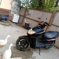 سكنس • ياباني • ١١٠