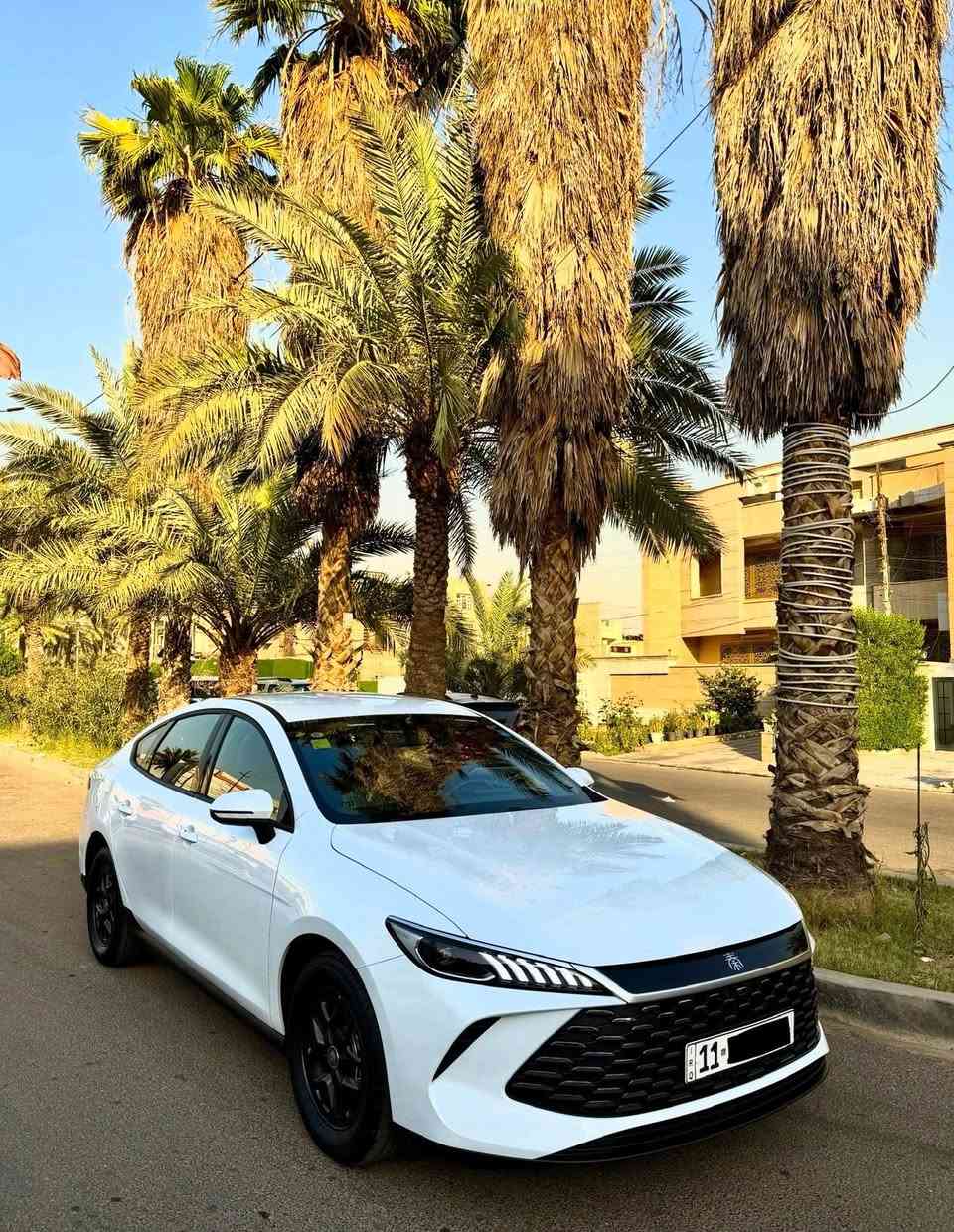 بي واي دي 2025كين بلاص
ماشيه 11 وكسر
داخل زيتوني 
سياره بحاله الوكاله بعدهي 
ملحقات وغراضه كامله 
مكان السياره بغداد سيديه 
رقم بغداد تحويل ثاني يوم 
سعر 18.850
 
***********
