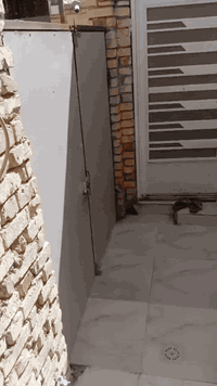 السلام عليكم
🏠 بيت للبيع – منطقة الشعلة / قرب الفلكة شارع عبد علي المضمد

المساحة: 85 م² (واقع حال 100 م²)

الموقع: ثاني بيت داخل دربونة، ركن داخل الدربونة

البناء: حديث (عكادة)، لم يُسكن بعد

التفاصيل:
• غرفتين نوم
• صالة + استقبال
• مطبخ
• حمام داخلي (منور) + صحيات خارجية

💰 السعر: 73وبيه مجال

📞 للاستفسار والاتصال: ‏‪0780 934 2290‬‏
