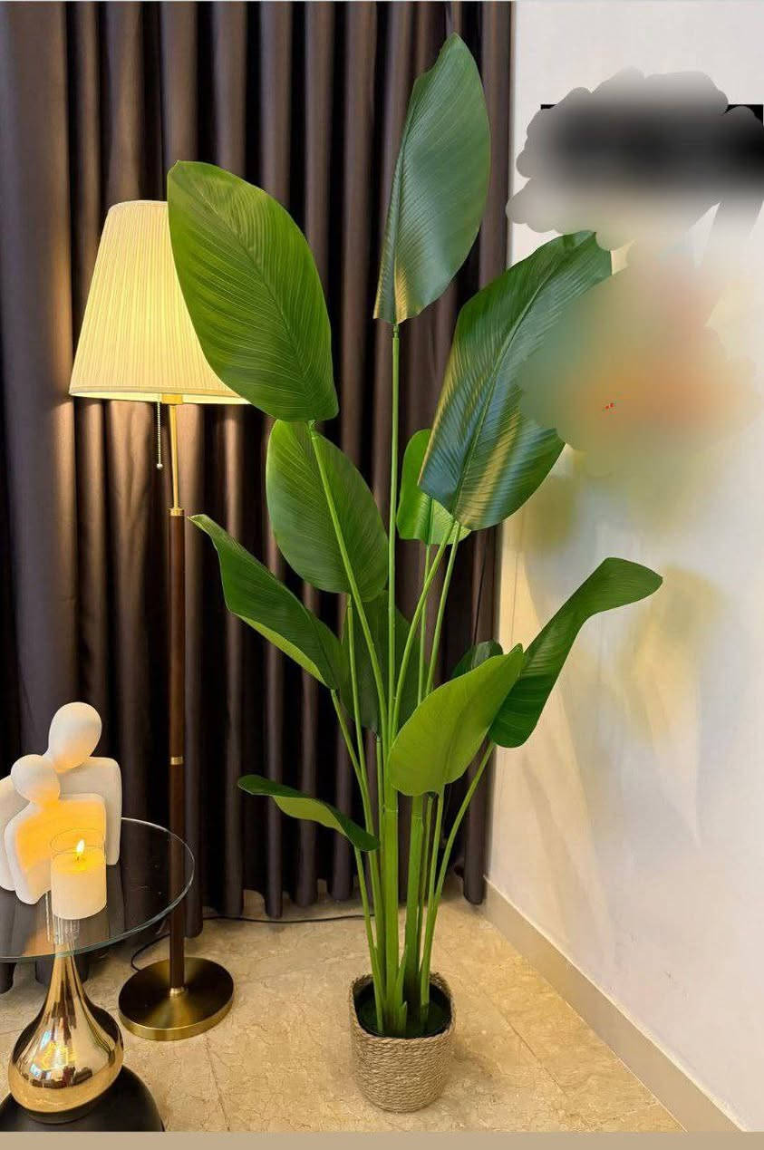 سنادين زينة من شركة الودق للأثاث المنزلي


**إذا كنت صاحب هذا الإعلان وتريد حذفه لأي سبب، رجاءا أرسل رسالة إلى الدعم الفني**