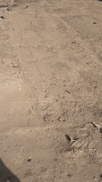 قطعة ارض دوانم البو هراط 

ورا شارع 40 

المساحه 112 م 

السعر 5 مليون 

للاستفسار اتصل ع الرقم ***********
