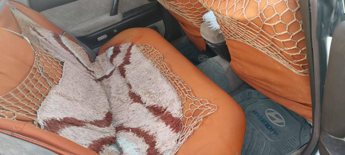 السلام عليكم مكلف بنشر بطه منتصل مكفوله من الضربه الداخلية مكفوله كص ونقل جثه بأسمي السياره مكينه وكير مكفوله تبريد فقط كنبريسر حداديه جديده ***********. السعر  45 عنوان البصره البصرة, العراق

